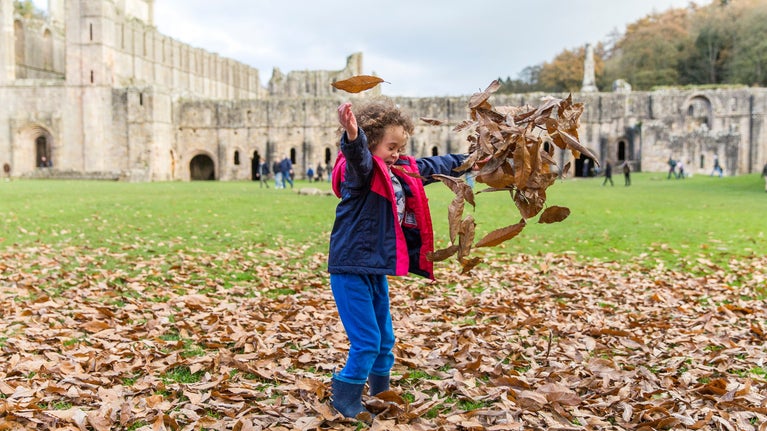 Child playing in the fallen leaves in the park at Fountains Abbey and Studley Royal Water Garden, North Yorkshire